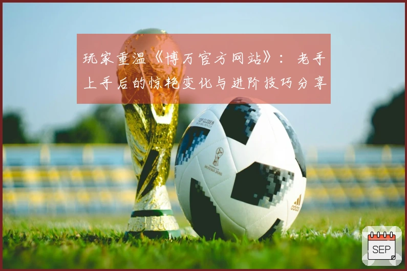 玩家重温《博万官方网站》：老手上手后的惊艳变化与进阶技巧分享