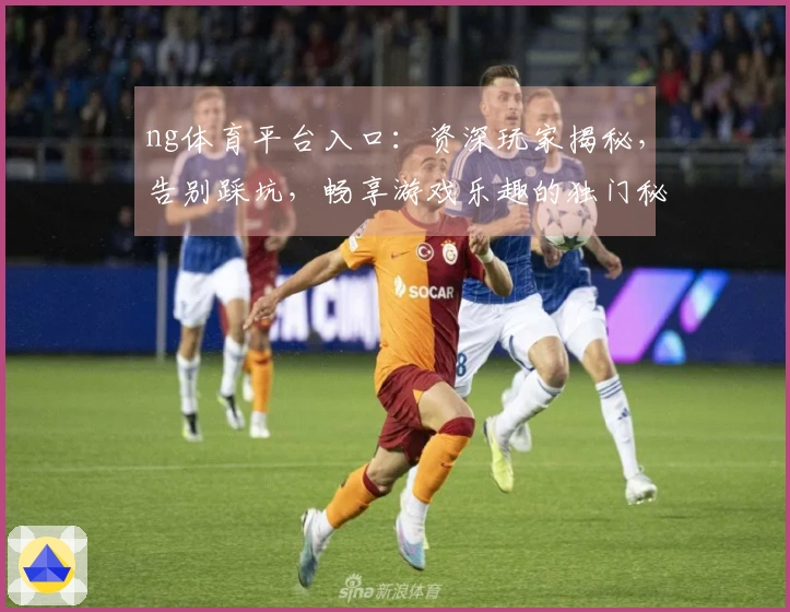 ng体育平台入口：资深玩家揭秘，告别踩坑，畅享游戏乐趣的独门秘籍